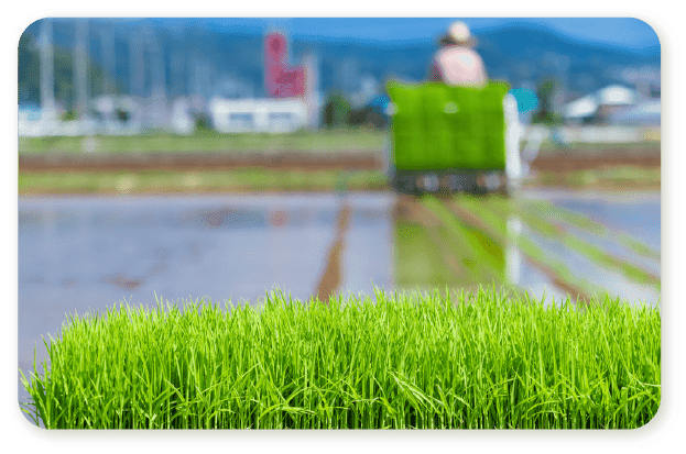 田植え機で田植えをする写真